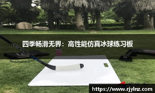 四季畅滑无界：高性能仿真冰球练习板